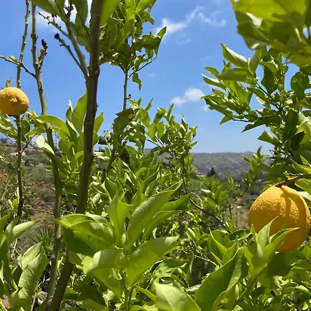 Casa Citron Σπίτι διακοπών Μάλαγα